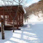 Karakawa castle
