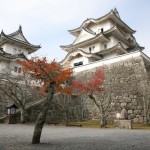 Iga ueno castle