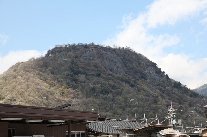 Iwadonoyama castle