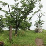 Iwaya castle