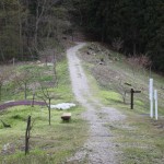 Hasedo castle ruins