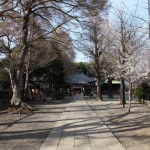 Hiratsuka castle