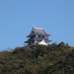 Hiwasa Castle