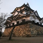Hikone castle