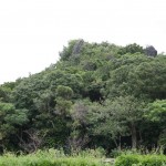 Agena castle
