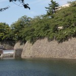 Fukui Castle