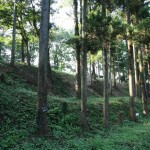 Hachigata castle
