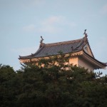 Kubota castle