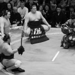 Sumo