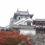 Fukuchiyama castle