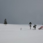 Landscapes with snow