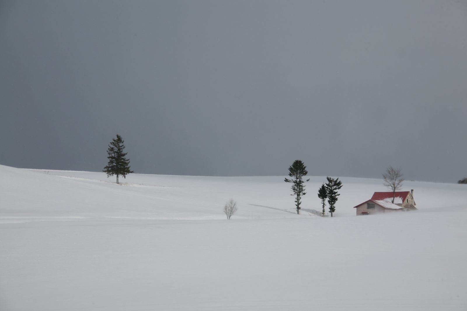 Landscapes with snow