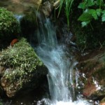 Mt. Mitake, Tokyo