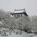 Matsumae castle