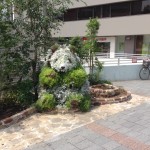 Hairy panda found near by Ueno station