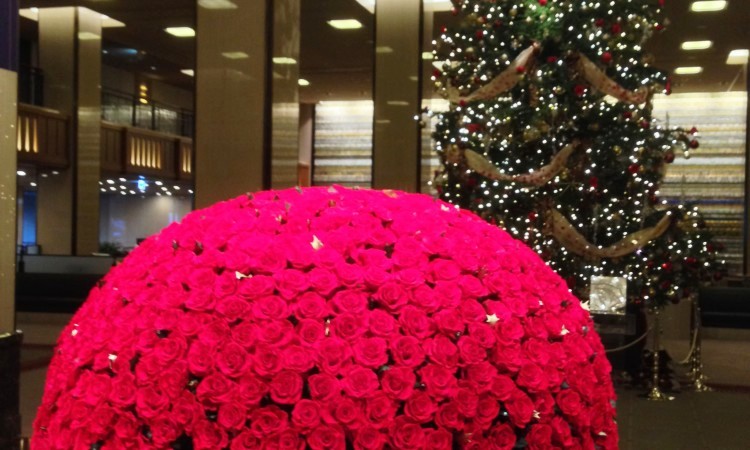 X’mas and one thousand roses