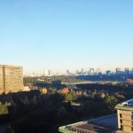 Looking down Tokyo