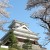 Kaminoyama castle and Cherry blossoms