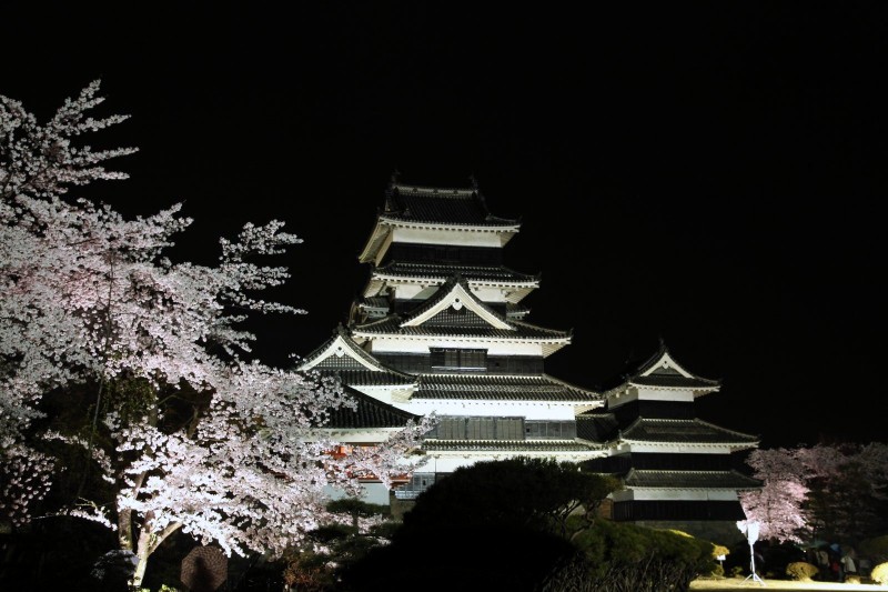 Matsumoto castle and Cherry blossoms