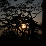 Sunrise at Miho no Matsubara