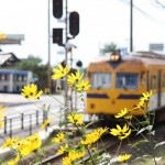 Ichibata Electric Railway Taisha Line