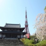 Zojoji and Tokyo tower