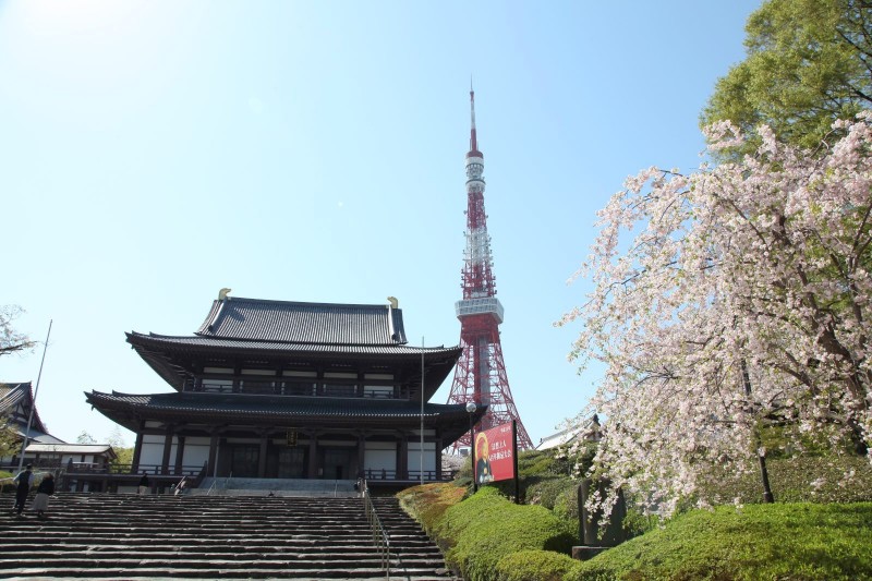 Zojoji and Tokyo tower