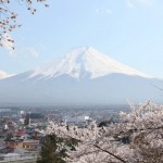 Mount fuji and Cherry blossoms