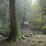 Okuni Jinja, Morimachi, Shizuoka