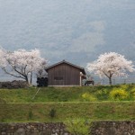 Tagawa, Fukuoka