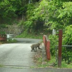 Mitomi, Yamanashi