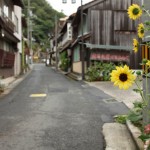 Yunotsu onsen, Ota