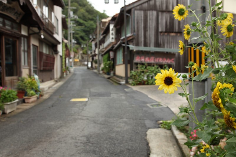 Yunotsu onsen, Ota