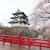 Hirosaki castle and Cherry blossoms