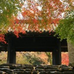 Akizuki castle in autumn
