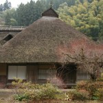 Niikawa tagomori, Ukiha-shi