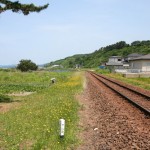 Dandelion and Deserted house, Omagoshi, Aomori