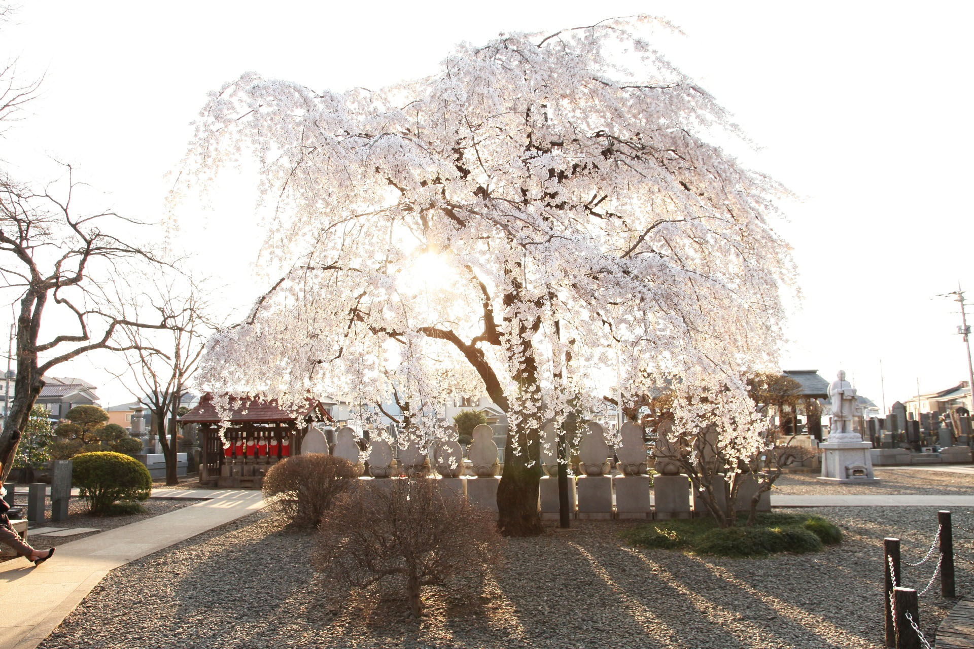 Ginkakuji gardens