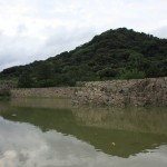 Hagi castle
