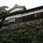 Fukuoka castle