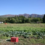 kanno, Yamagata-shi, Yamagata