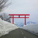 Torii in Tokamachi, Niigata.
