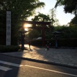 Nezu shrine