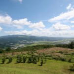 Kijihiki Kogen, Hokkaido