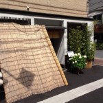 Protection from Sun