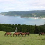 Cape Toi, Miyazaki