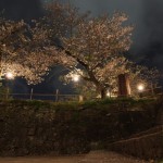 Nobeoka castle at night.