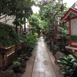 Mysterious Japanese Restaurant