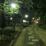 Night Walk in a Park