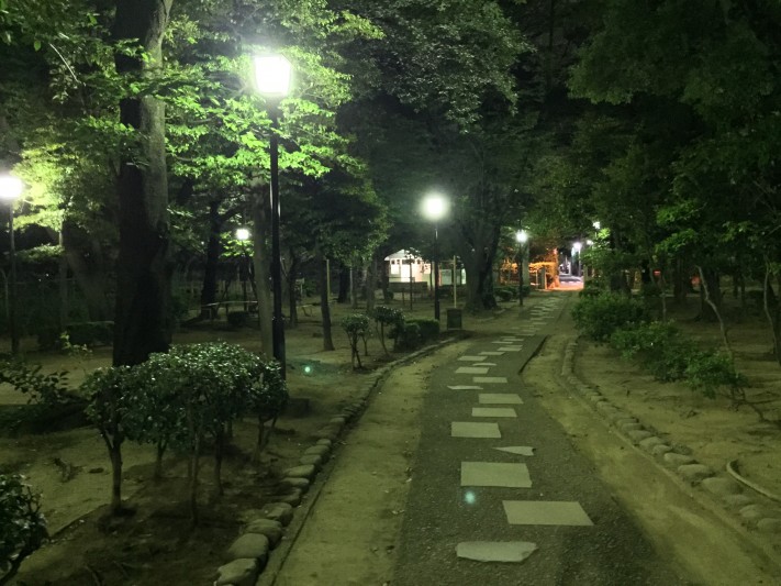 Night Walk in a Park